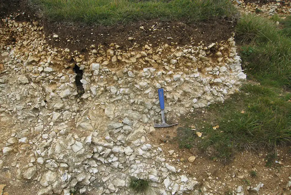 The Lewes Nodular Chalk Formation contributes to the chemistry of overlying soils in Culver Down on the Isle of Wight. BGS © UKRI.